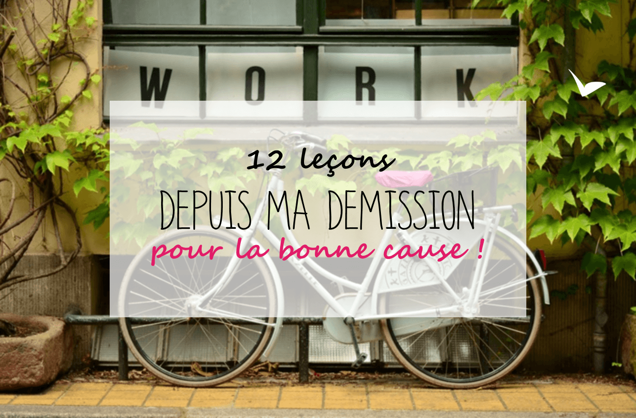 12 lecons depuis ma demission