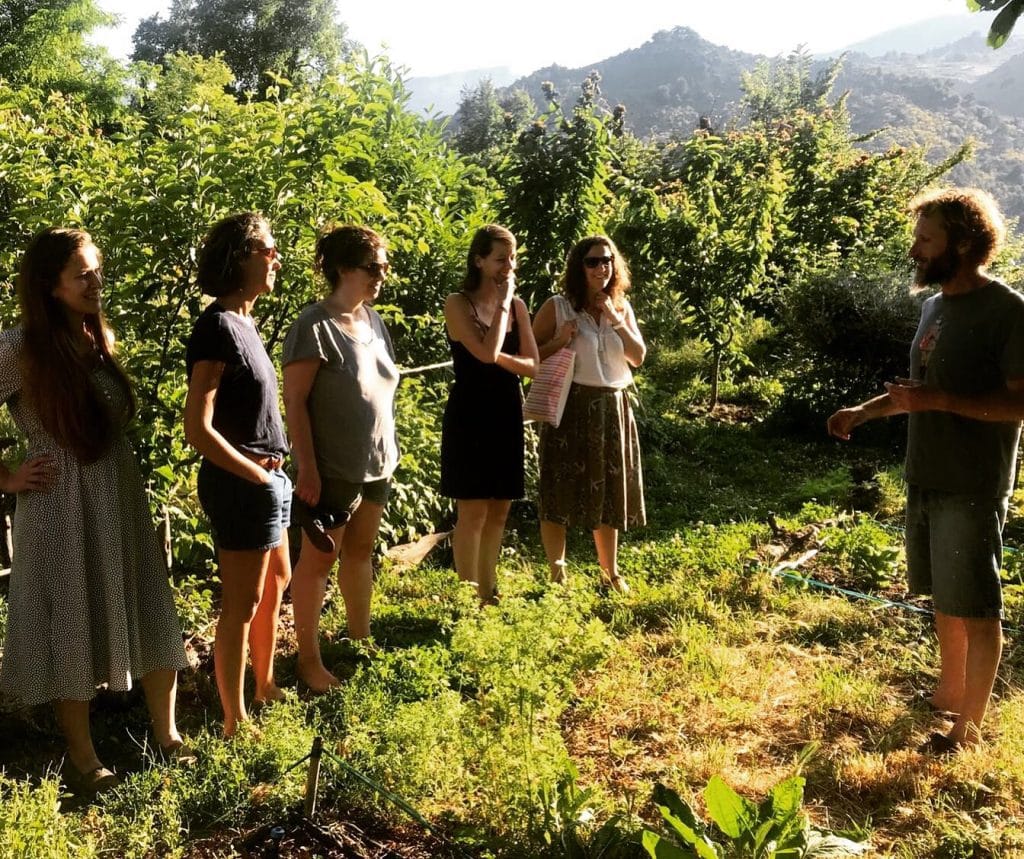 Permaculture retraite pour entrepreneure - Creators for good