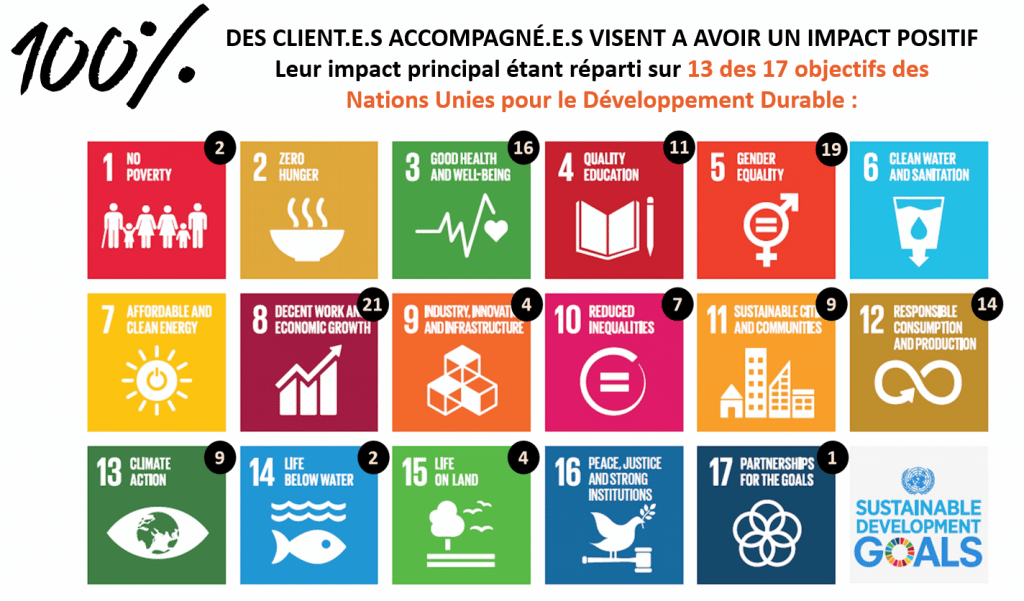 rapport d'impact